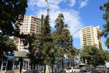 High-rise building at Kirova Str. in Adler district of Sochi, Общий вид застройки квартала, 21.08.2009