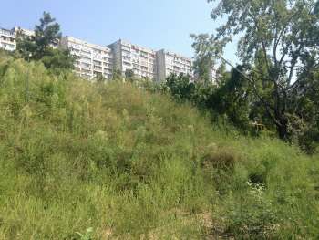 Housing estate «Elsinore» in Sochi, Осмотр площадки строительства, 28.08.2014