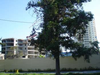 High-rise building at Kirova Str. in Adler district of Sochi, Этап строительства здания, 22.05.2008